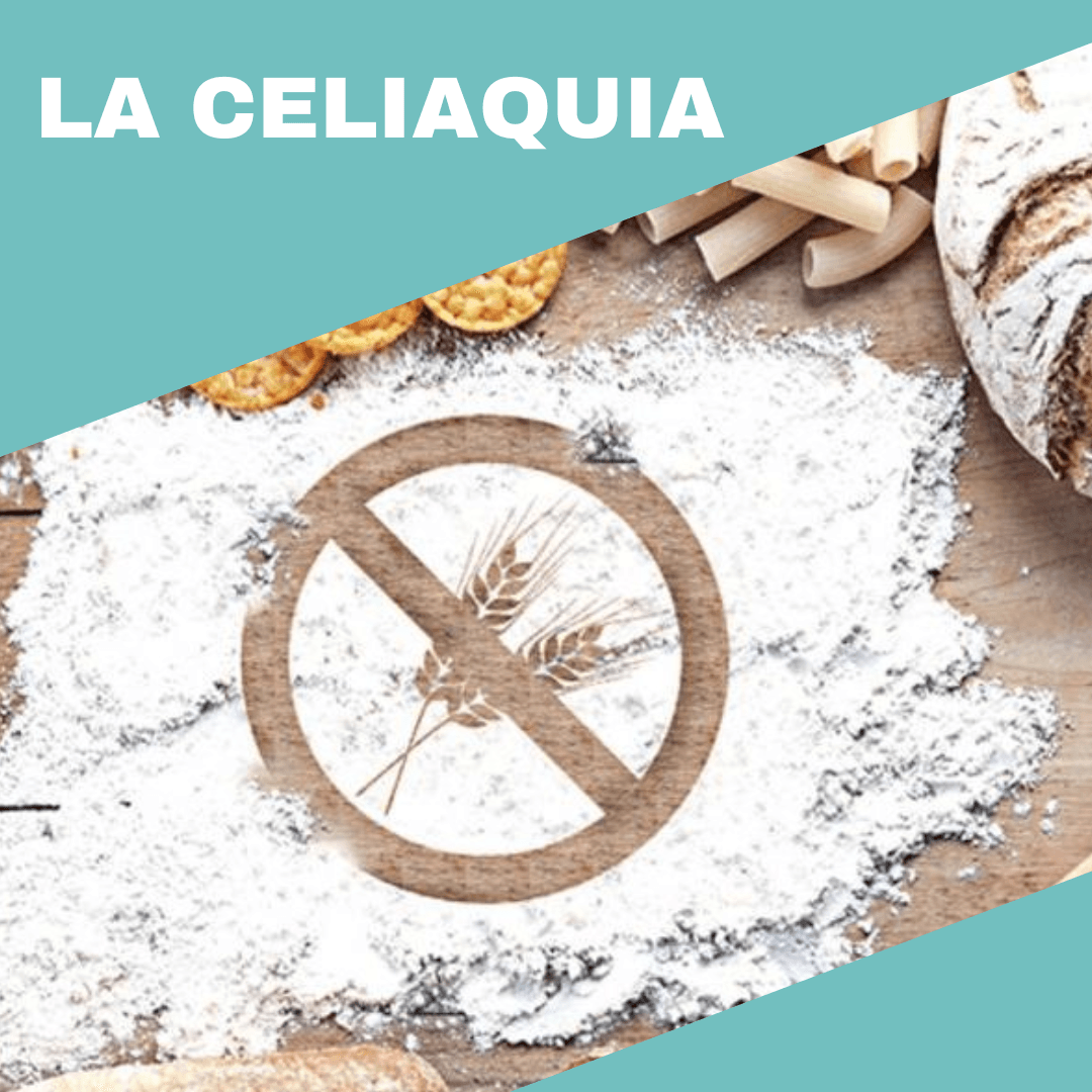 cambio de obra social prepaga cobertura medica salud consultorios lectura blog celiaquia