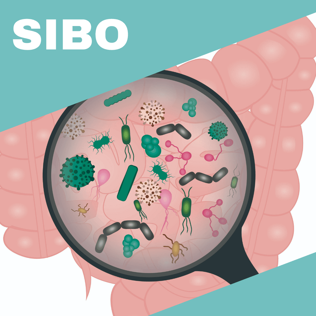 cambio de obra social prepaga cobertura medica salud consultorios lectura blog sibo