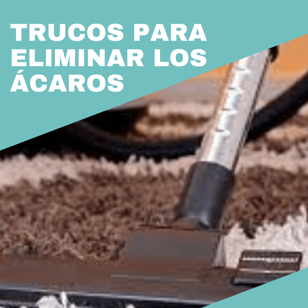 cambio de obra social prepaga cobertura medica salud consultorios